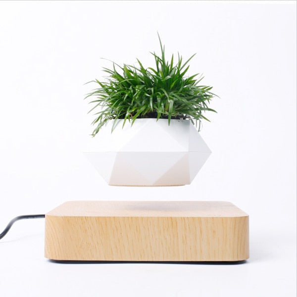 Levitating Air Bonsai Pot **