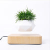 Levitating Air Bonsai Pot **