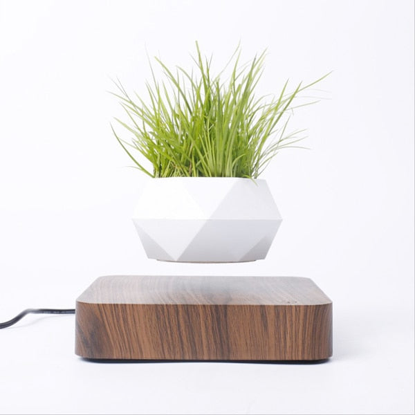 Levitating Air Bonsai Pot **