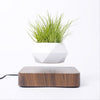 Levitating Air Bonsai Pot **