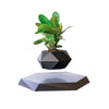 Levitating Air Bonsai Pot **