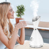 RadiantRevive™ Ionic Facial Steamer