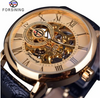 Men's Luxury Skeleton Dial Watch