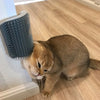 PurrJoy: Cat Grooming Corner