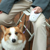 Radiant Paws: Led Lights Dog Leash